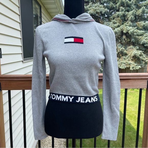 Tommy Hilfiger Tommy Jeans Small Cotton Logo Graphic Cropped Hooded Sweater Gray - Picture 1 of 11